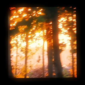 东北大屁股老熟妇ass
