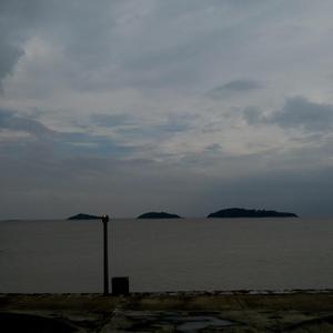 东北大屁股老熟妇ass
